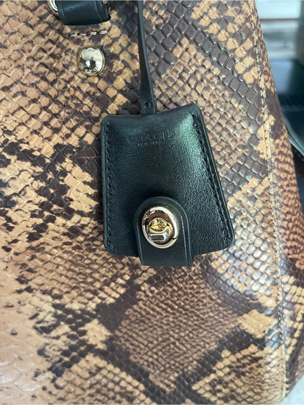 Coach Snake Margo Carryall Crossbody Shoulder Bag F35275 (180)
